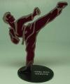 karate side kick award