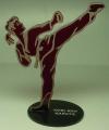 karate side kick award