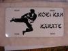 custom koei-kan karate license plate