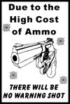 High Cost of Ammo-1